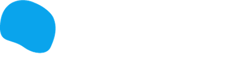 Bon Intelligence